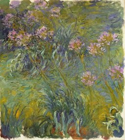 Claude Monet - Εκτύπωση έργου τέχνης Agapanthus, 1914-26, (35 x 40 cm)