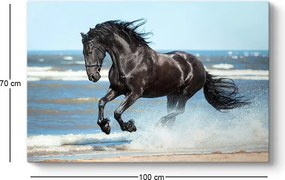Πίνακας σε καμβά "Black Horse" Megapap ψηφιακής εκτύπωσης 100x70x3εκ.