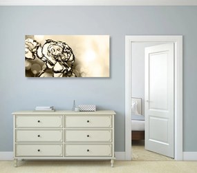 Εικόνα κομψό γαρύφαλλο σε σχέδιο σέπια - 100x50