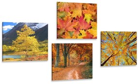 Σετ εικόνων με φθινοπωρινή φύση σε όμορφα χρώματα - 4x 60x60
