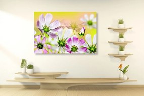 Εικόνα καλοκαιρινά λουλούδια - 90x60