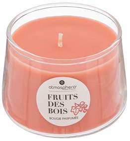 Αρωματικό Κερί 110gr (Φ7.5x5) A-S Izor Fruit Des Bois 196028C
