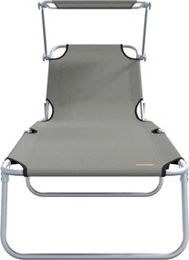 vidaXL Ξαπλώστρα 2 pcs Γκρι 58 x 188 x 77 εκ. Πολυεστέρας