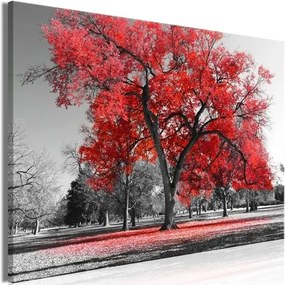 Πίνακας - Autumn in the Park (1 Part) Wide Red - 120x80