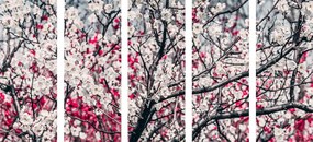5 μέρος εικόνα λουλούδια ροδάκινα - 100x50