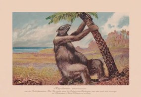 Εικονογράφηση Megatherium americanum, extinct giant ground sloth,, ZU_09