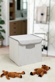 Αποθηκευτικό Κουτί Γκρι YLC420 30x30x30