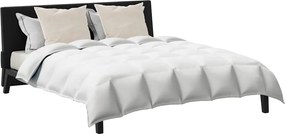 vidaXL Σετ Παπλωμάτων με μαξιλάρι 3 pcs Λευκό Φτέρος