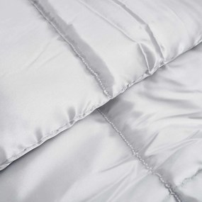 vidaXL Χειμερινό Παπλωματοθήκη 200 x 220 cm 450 gsm Ασημί