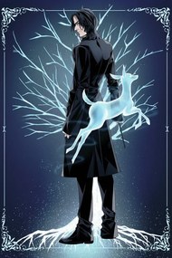 Εικονογράφηση Harry Potter - Snape's Patronus