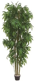 Τεχνητό Δέντρο Μπαμπού Zulu 2101-6 213cm Green-Beige Supergreens Polyethylene,Fabric