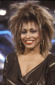 Φωτογραφία Tina Turner, 1990