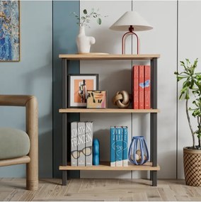 Stewehome Βιβλιοθήκη με 3 ράφια από σανίδα (Λευκό) 52x22x145 cm
