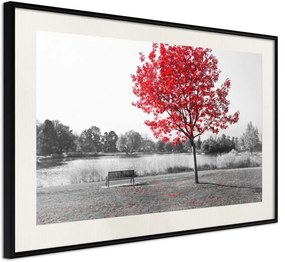 Αφίσα - Autumn Colours I - 30x20 - Μαύρο - Με πασπαρτού