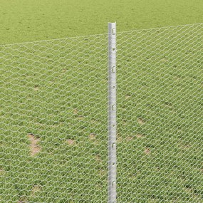 vidaXL Εξωτερική εξάγωνη περίφραξη με στήλη 25 x 1 m Ασημί Δίχτυ
