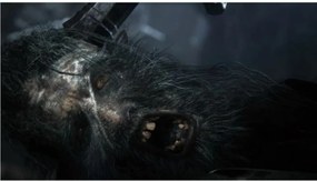 Βιντεοπαιχνίδι PlayStation 4 Sony Bloodborne PlayStation Hits