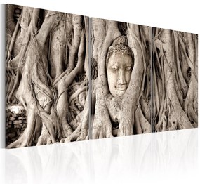 Πίνακας - Meditation's Tree 60x30