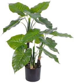 Τεχνητό Φυτό Αλοκάσια Elephant Ears 7760-6 55x80cm Green Supergreens Πολυαιθυλένιο