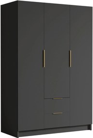 Ντουλάπα Calwi I τρίφυλλη-Μαύρο - Χρυσό