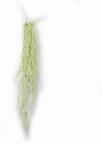 Supergreens Τεχνητή Κρεμαστή Ρουσέλια Verdantis Πράσινη 110 εκ. - 2491-7