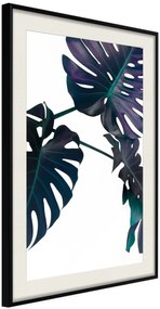 Αφίσα - Evergreen Monstera - 40x60 - Μαύρο - Με πασπαρτού