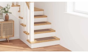vidaXL Σκαλοπάτια 15 pcs Καφέ 60 x 25 cm Πολυπροπυλένιο