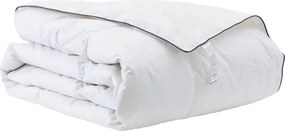 vidaXL Χειμερινό Παπλωματοθήκη Λευκό 140 x 220 cm Φτερό