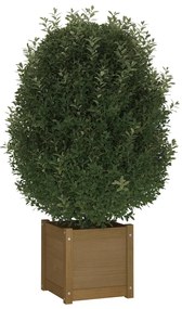 vidaXL Ζαρντινιέρες 2 τεμ. Μελί 40 x 40 x 40 εκ. από Μασίφ Ξύλο Πεύκου