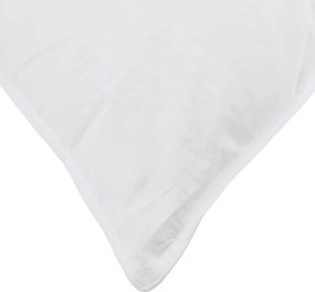 vidaXL Μαξιλάρι με μαξιλάρι Λευκό 80 x 80 cm Φτερό