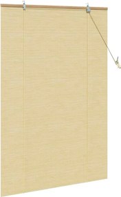 vidaXL Ρόλερ με κουρτίνες Φύση 100 x 160 cm Μπαμπού
