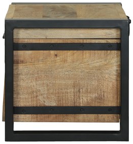 vidaXL Κουτιά αποθήκευσης 40x30x30cm από σκόρδο μάνγκο και μέταλλο