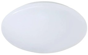 Φωτιστικό Οροφής -Πλαφονιέρα Led Putz II R62601201 12W 960Lmn 3000K White RL Lighting Πλαστικό