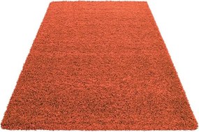 Χαλί Διαδρόμου (80x210) Spitishop Lanoso 5500B Terracotta