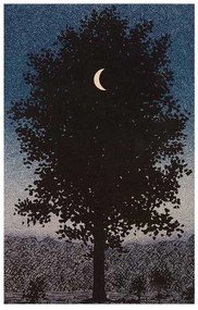 ΠΙΝΑΚΑΣ TOIXOY ΣΕΙΡΑ GOBI HM4850 ΕΚΤΥΠΩΜΕΝΟΣ ΚΑΜΒΑΣ 45x3(πάχος)x70Yεκ.