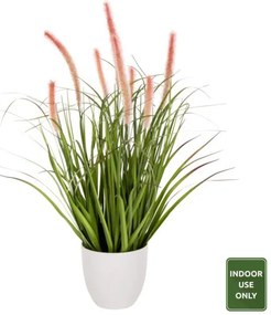 ΔΙΑΚΟΣΜΗΤΙΚΟ ΣΥΝΘΕΤΙΚΟ ΦΥΤΟ HM4029 BRISTLEGRASS ΣΕ ΓΛΑΣΤΡΑ Φ14,5x13-62Yεκ.