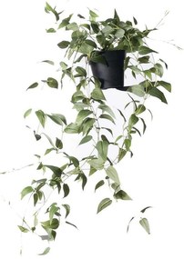 Τεχνητό Φυτό Πόθος Green Queen 6360-6 20x20x72cm Green Supergreens Polyethylene