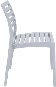 ΚΑΡΕΚΛΑ ΠΟΛΥΠΡΟΠΥΛΕΝΙΟΥ ARES SILVER GRAY