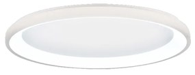 Πλαφονιέρα Οροφής D80x5cm LED 38W 3CCT 3800lm Λευκό Μέταλλο-Ακρυλικό Inlight 42044-A-White