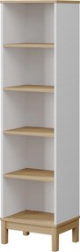 Βιβλιοθήκη Ξύλο / Λευκό Δρυς DELOCLU 48x36x179.3