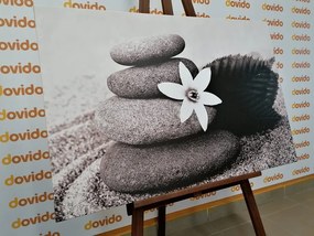 Εικόνα λουλουδιού και πέτρες στην άμμο σε μαύρο & άσπρο - 60x40