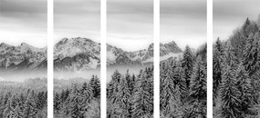 Εικόνα 5 τμημάτων παγωμένα βουνά σε μαύρο & άσπρο