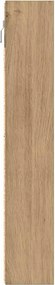 vidaXL Βιτρίνα Επιτοίχιο Artisan Oak 100 x 8,5 x 50 cm
