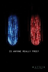XXL Αφίσα Matrix - Is anyone really free?