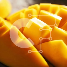 Σετ των 2 Intra Συλλεκτικό Ξύλινο Παζλ Plywood  4mm - Μάνγκο σε φέτες και ανάμεικτα φρούτα Σε Ξύλινο Κουτί - Διαστάσεις: 10x10 cm – 25 κομμάτια