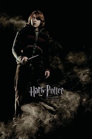 Εικονογράφηση Harry Potter and the Goblet of Fire - Ron