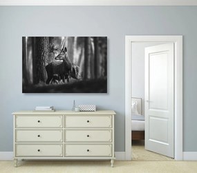 Εικόνα ενός ελαφιού σε ένα πευκοδάσος σε ασπρόμαυρο - 60x40