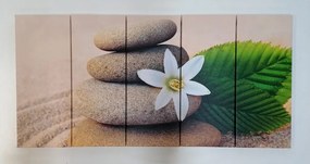 Εικόνα 5 μερών λουλούδι και πέτρες στην άμμο