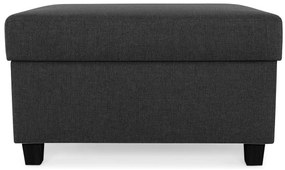 Σκαμπό σαλονιού Scandinavian Choice C184, Μαύρο, 42x65x80cm, Ταπισερί, Πόδια: Πλαστική ύλη, Κουτί αποθήκευσης | Epipla1.gr