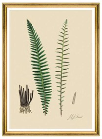 Κάδρο Ferns VI FA13247 50x70cm Green MindTheGap Vertical Ξύλο