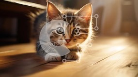 Intra Συλλεκτικό Ξύλινο Παζλ Plywood 4mm - Αξιολάτρευτο γατάκι που περπατά στο ξύλινο πάτωμα Σε Ξύλινο Κουτί - Διαστάσεις: 10x10 cm – 25 κομμάτια